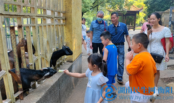 中秋"小长假"9月12日收官,衡阳市动物园欢乐多多_湖南民生网