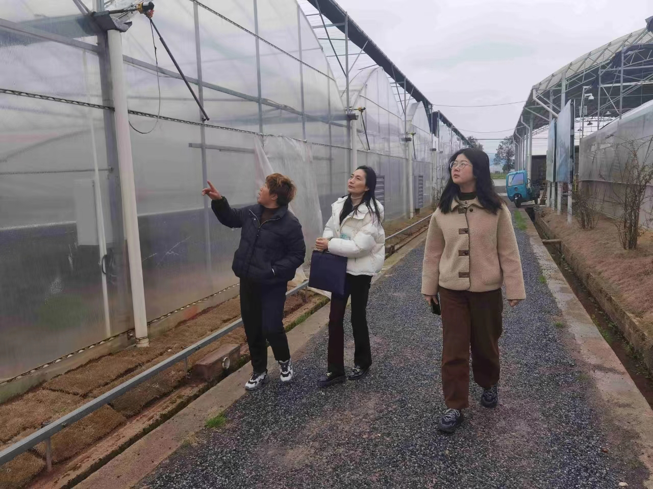 蒸湘区农业农村局积极应对寒潮天气 减少种植业损失