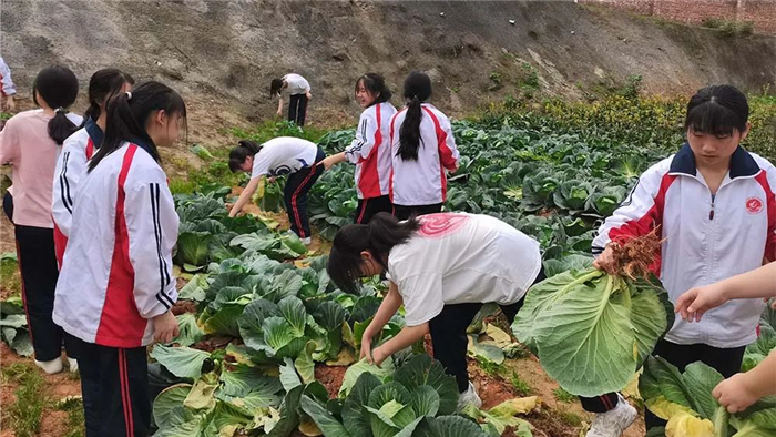 多彩勞動教育豐富生活體驗衡陽市第六中學開展學生課外勞動實踐活動