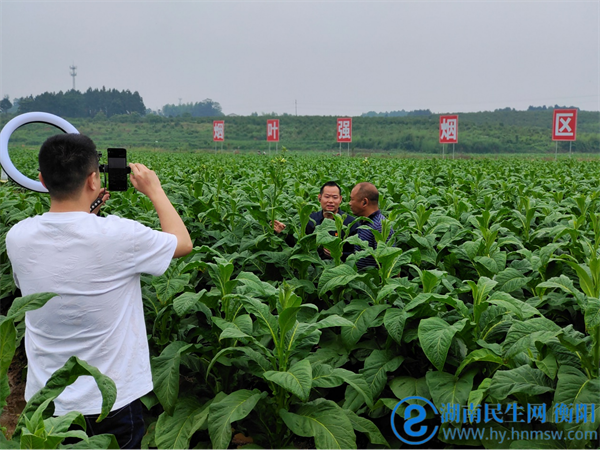 衡阳市烟草专卖局(公司)积极融入党和国家重农抓粮大格局,认真践行"种